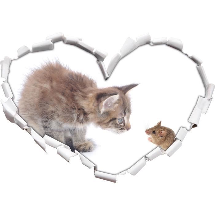 Chat Et Souris Amis Forme De Coeur Dans Le Regard 3d Mur Ou Une Porte Autocollant Format 62x43 5cm Stickers Muraux Stickers Mura Cdiscount Maison