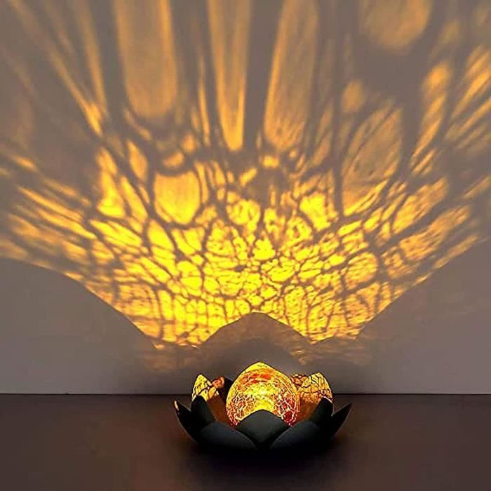 Lot De 2 Lampes Solaires Pour Extérieur Et Jardin - Protection