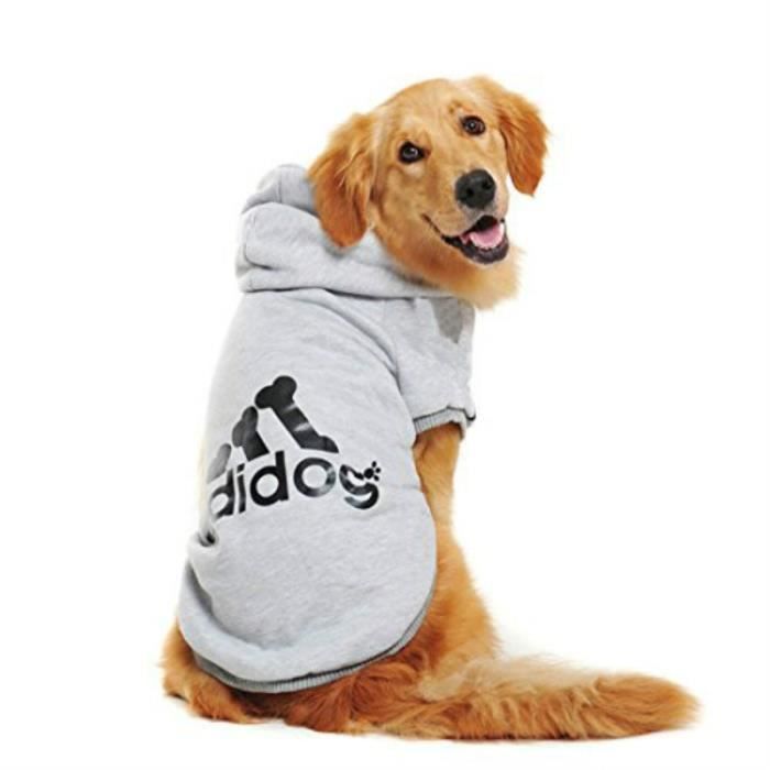 Sweat a hotsell capuche pour chien