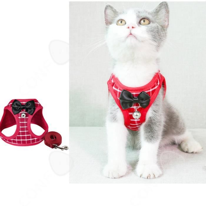 Comparer les prix de CONFO® Laisse de poitrine et de dos personnalisée pour chat, sangle de poitrine pour petit chien code S, ensemble de promenade pour