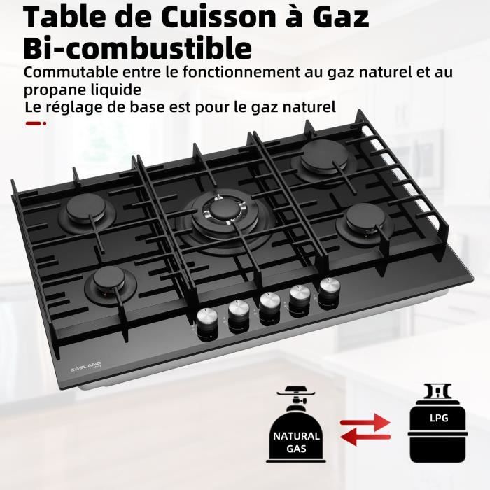 Electronic Corp  Plaque De Cuisson A GAZ 5 FEUX 90 CM VERRE NOIR  ENDUROPBL045