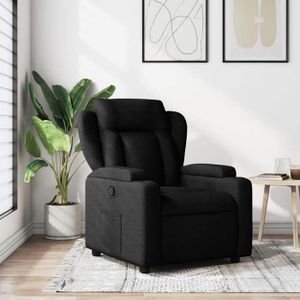 VidaXL Fauteuil Inclinable, Chaise De Relaxation Avec Porte