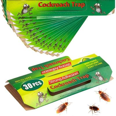 Kit professionnel anti cafards et blattes pas cher pour traiter 300m2 -  Baticlean