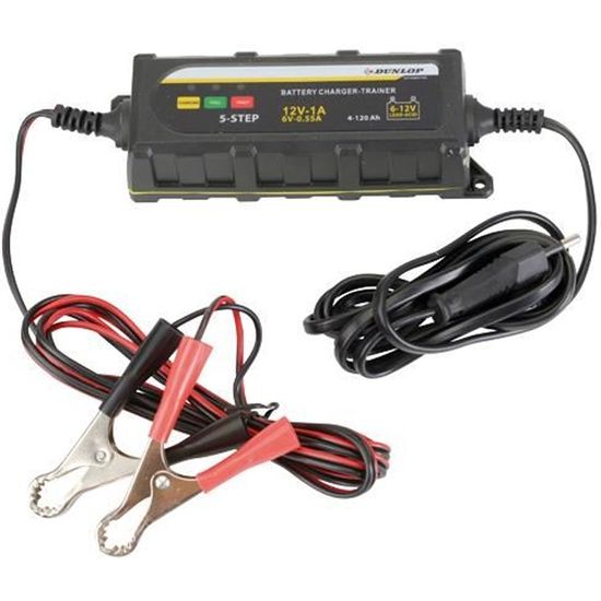 Chargeur De Batterie Intelligent Intégré MotoMaster De Série Simple, Entièrement Automatique, 1,5 A, 6 V/12 V | Canadian Tire