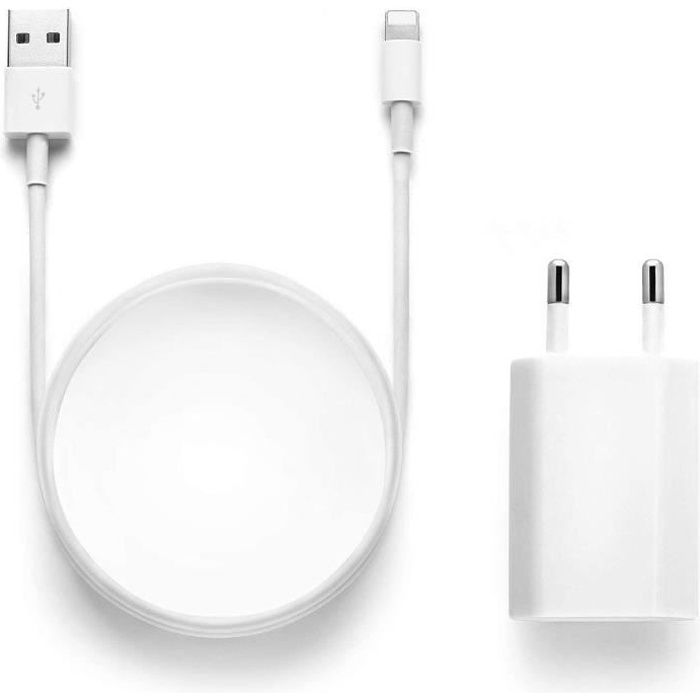 Chargeur USB et câble Lightning USB Adaptateur Mural Universel Compatible avec iPhone 12/SE/11/Xs/Max/XR/X/8/8 Plus/7/7Plus/6/6S/6+