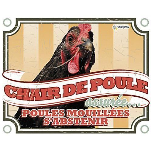 VADIGRAN Panneau Photo Poule Vintage 3 pour Élevage/Agriculture Urbaine - 12480