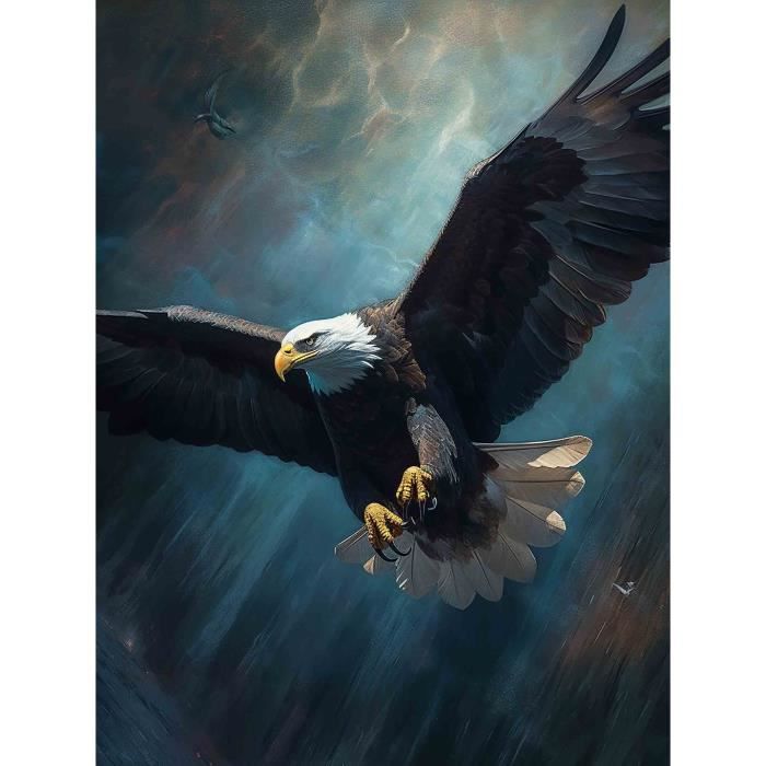 5D Diamond Painting Diy Kits Femme Africaine, Peinture À L'Huile