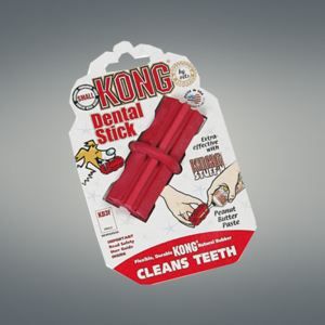 Meilleurs prix pour Jouet pour animal - KONG - Dental Stick - Plastique - Intérieur - Chien - Jeux