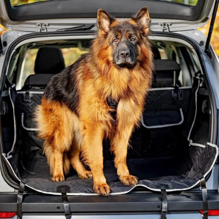 Protection de sièges de voiture pour chiens - FIRSTPAW