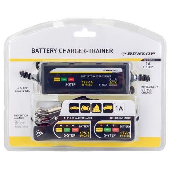 Chargeur de batterie-moniteur de DUNLOP – Inforad