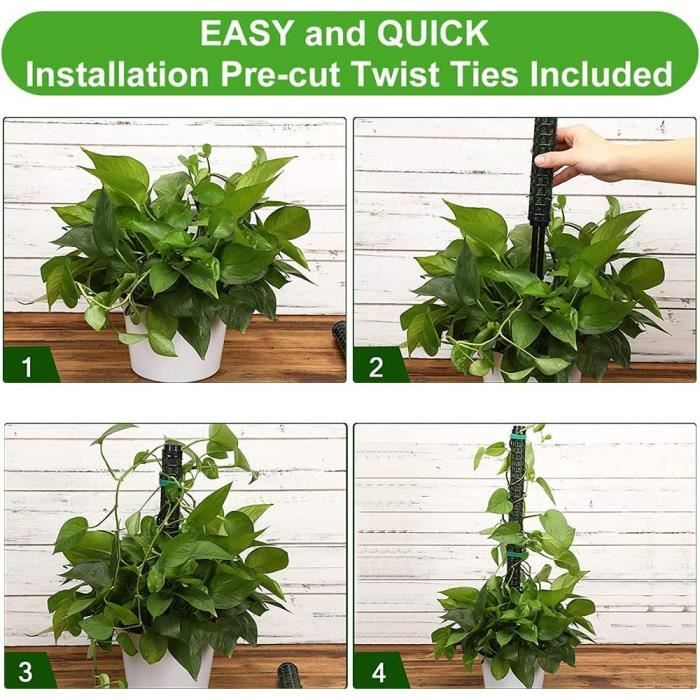 6 Pièces 60cm Tuteur Sphaigne,Tuteur Monstera, Moss Pole pour La Maison Monstera Jardin Plante Grimpantes Extension De Support De Plante | Leroy Merlin 6 Pièces 60cm Tuteur Sphaigne,Tuteur Monstera, Moss Pole pour La Maison Monstera Jardin Plante Grimpantes Extension De Support De Plante | Leroy Merlin
