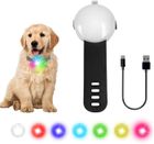 ZEMINPEOEL Collier Lumineux Chien LED Pendentif Lampe Chien led Rechargeable étanche 4 modes de changement de couleur réglable, Noir