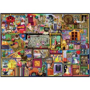 PUZZLE Puzzle 1000 pièces Colin Thompson : Le placard ...