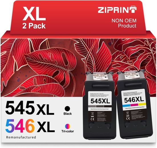 Lot De 2 Cartouches D'encre Noire PG545XL Remanufacturées - Pour Imprimante Canon Pixma MG2550 - Neuf