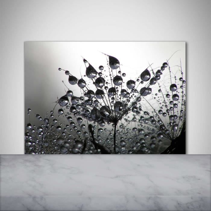 Tulup 100x70cm Crédence de cuisine sur verre sécurité:- Fleurs plantes - Graines De Pissenlit - Noir blanc Multicolore