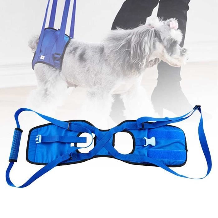 Laisses Colliers,Fournitures pour animaux domestiques Support pour chien handicapé, aide à la marche, harnais, ceinture - Type S