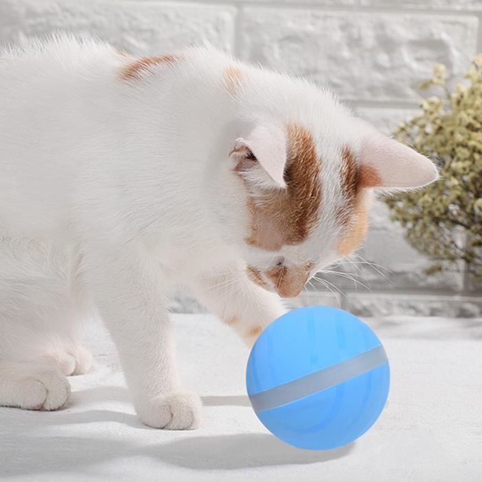 chat interactif maxi toys