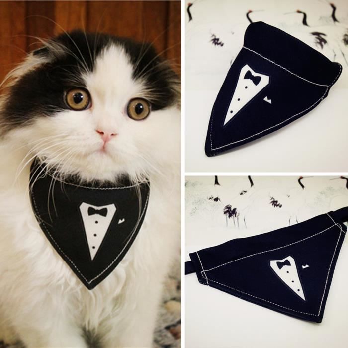 Taille S Bandana Gentil Noeud Papillon Collier Pour Chiot Chat Tour De Cou Reglable Achat Vente Foulard Cravate Taille S Bandana Gentil Cdiscount Taille S Bandana Gentil Noeud Papillon Collier Pour Chiot Chat Tour De Cou Reglable Achat Vente Foulard Cravate Taille S Bandana Gentil Cdiscount
