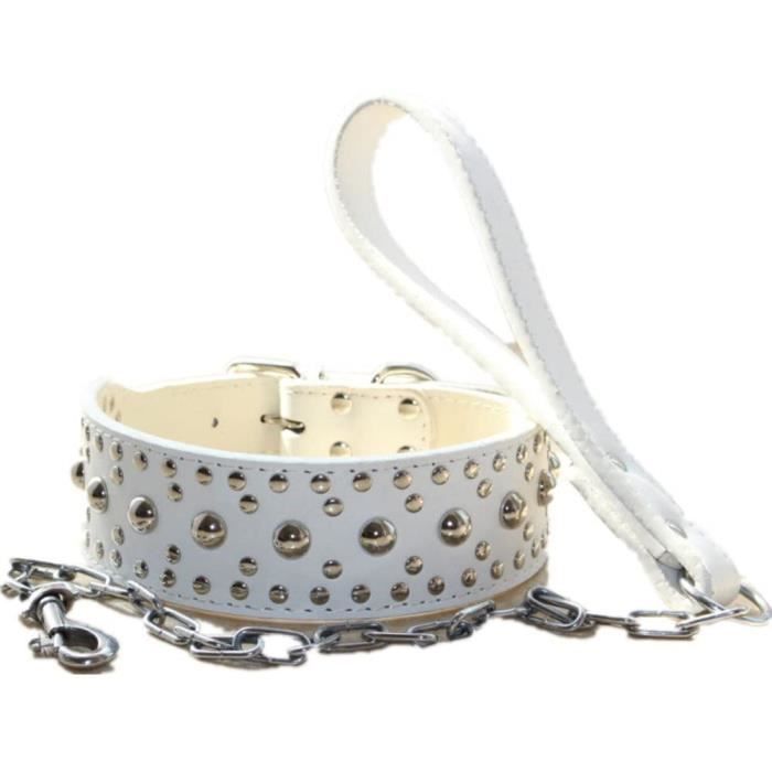 Ceinture en cuir véritable clouté - Kaporal - Femme Noir