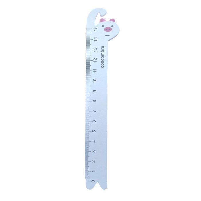 Règle de Mesure Reins Measure 80cm - Leurre de la pêche