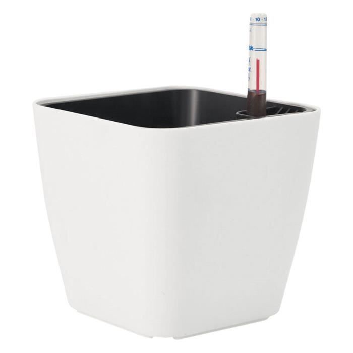 Corde D'Arrosage Yardenfun - 20m Coton Absorbant - Pour Arrosage Automatique Plantes En Pot - Hydroponie
