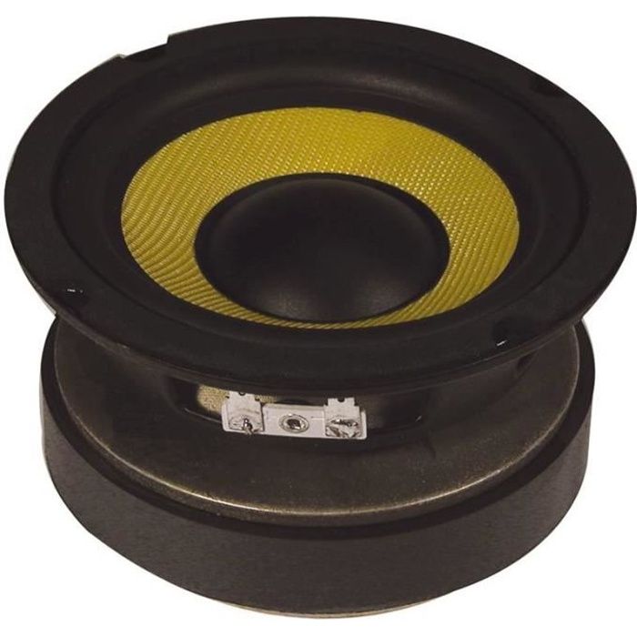 Haut-parleur Grave Fenton 10 Pouces - 250W Max - 8 Ohms - Pour Enceinte HiFi Ou Remplacement - Cône Caoutchouc