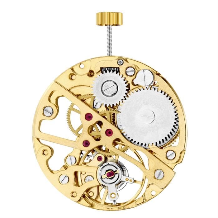 Mouvement de shop montre automatique