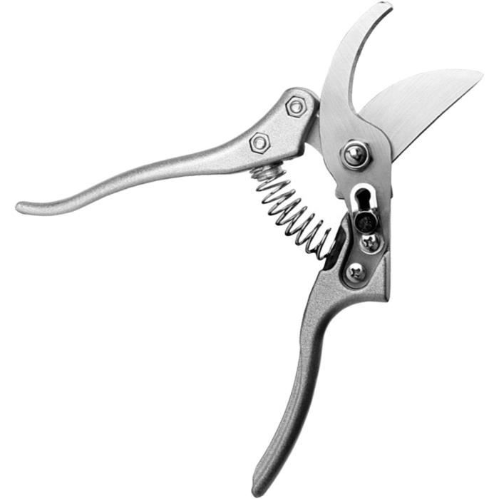 Sécateur De Jardin Vert à Micro-pointe Pour Une Coupe Précise – Sécateur Manuel Léger En Acier Inoxydable, Coupe-fleurs Et Coupe-bonsaï