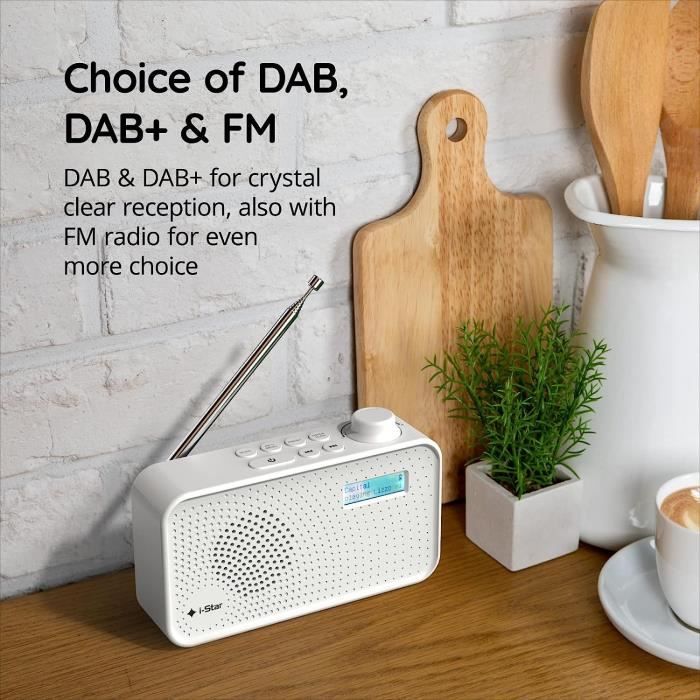 Poste de radio FM, DAB/DAB+ sans fil Bluetooth, batterie en option
