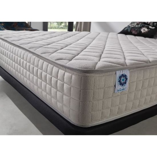 Sangle Courte Fremont Avec Mousse Mémoire Forme 20mm - Pour Cheval