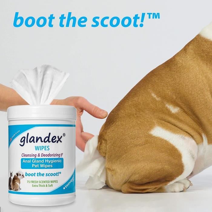 Glandex – Lingettes nettoyantes et désodorisantes hygiéniques pour chiens  et chats avec vitamine E, conditionneurs et aloès (75ct)