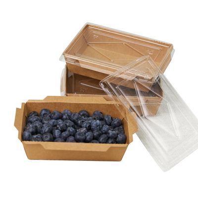 ECOPICNIC Lot De 100 Lunchbox En Kraft 1200 ML Avec Couvercle - Boîtes Alimentaires Jetables Écologiques Pour Repas à Emporter