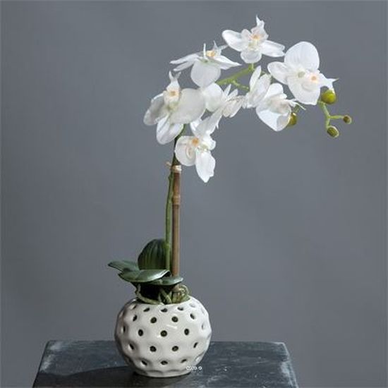 Orchidee artificielle Blanche 1 hampe boule cer… - Cdiscount Maison