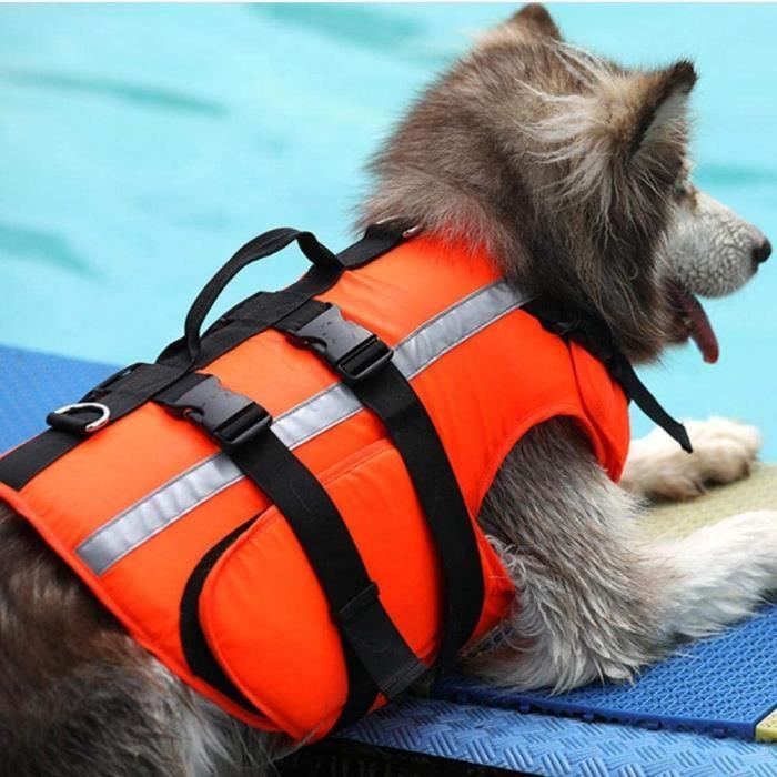 Gilet de sauvetage pour chiens, réfléchissant Manteau Gilet de sauvetage, Formation en natation avec rembourrage pour chiens, L
