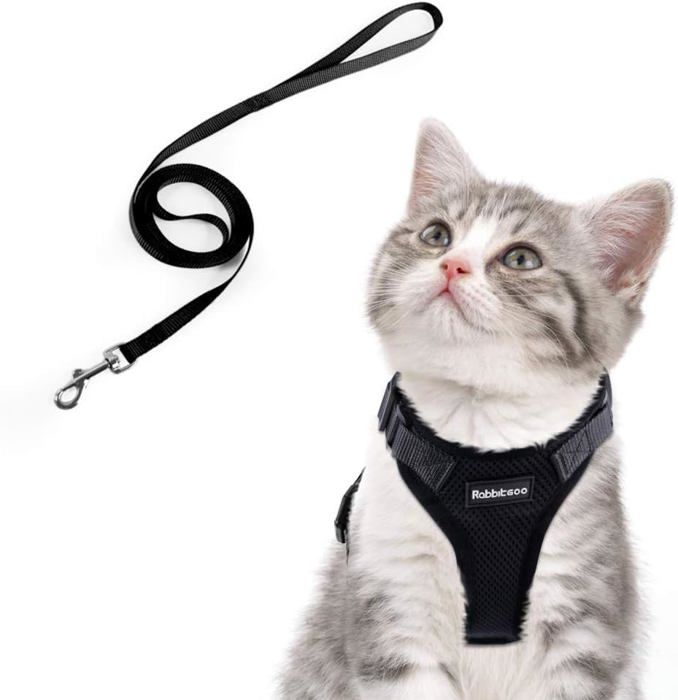 Meilleurs prix pour Laisse et harnais pour petit chien et chat, réglable, gilet respirant avec attache et laisse pour Maine Coon et Persan