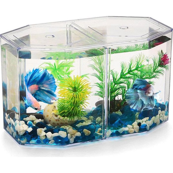 Mini aquarium bureau betta cloison amovible pour poisson rouge débutants