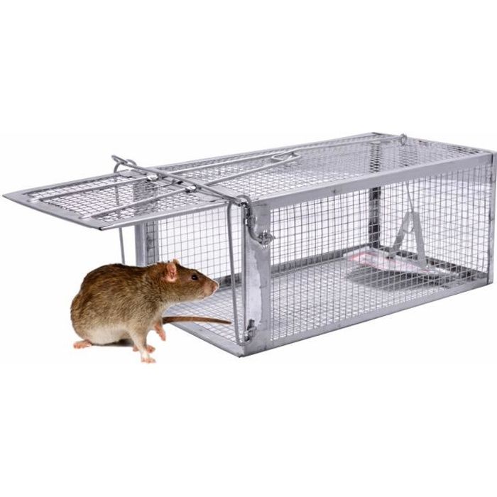 Piège à Rats Professionnel L 26X14X11CM Piège à Souris Pour Attraper Les  Souris, Les Rats, Les Mulots et Les Loirs