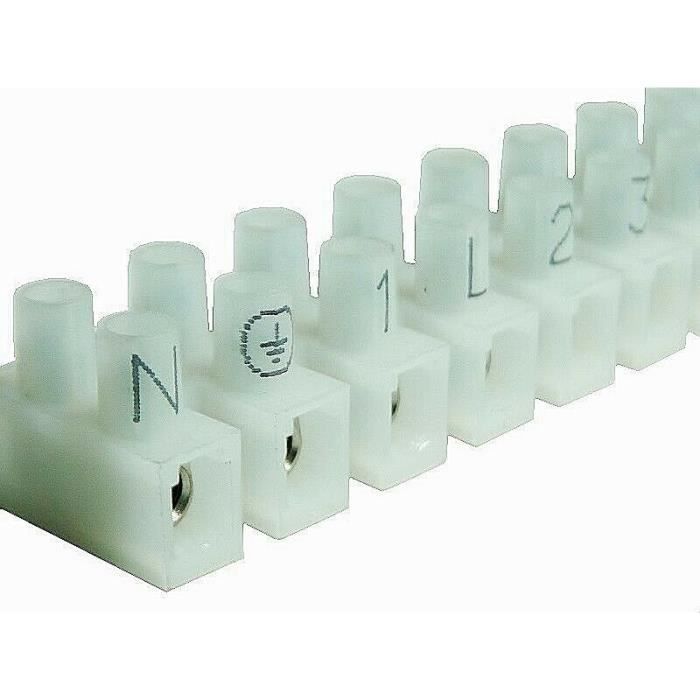 domino électrique 12-pôles section nominale 2