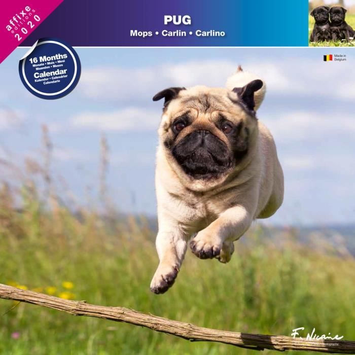 Calendrier Affixe 2023 Carlin 2020 - Calendrier Mural Affixe - Cdiscount Beaux-Arts Et Loisirs  Créatifs