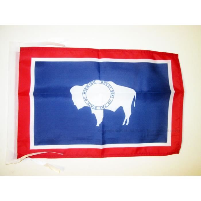 Magflags Medium Drapeau Maine | Paysage Drapeau | 0.96 M² | 10sqft | 80 X 120 Cm | 0,8 X 1,2 M – 100% Fabriqué En Allemagne – Durable Extérieur Drapeau
