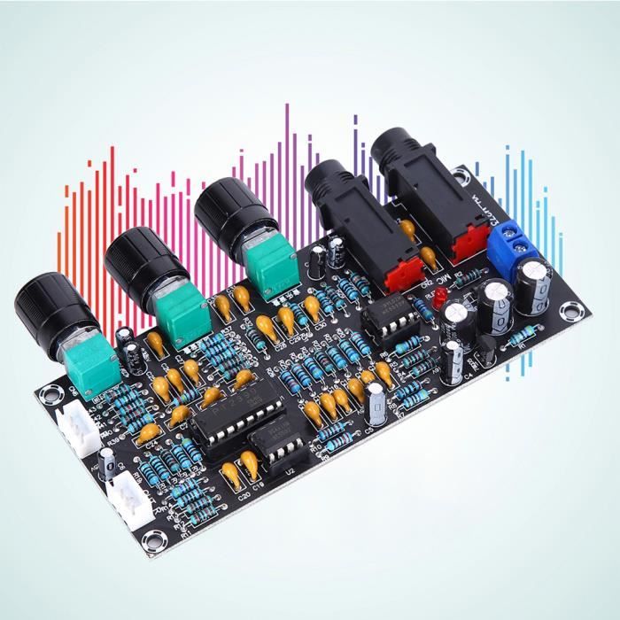 EJ.life Accessoire audio Module Amplificateur Carte AMP Audio Entrée 2