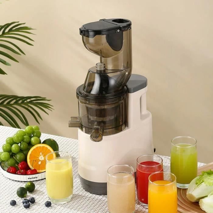 Extracteur de Jus - JOULLI - 300W - Sans BPA - Goulotte 315 pouces - Double filtration - Joulli