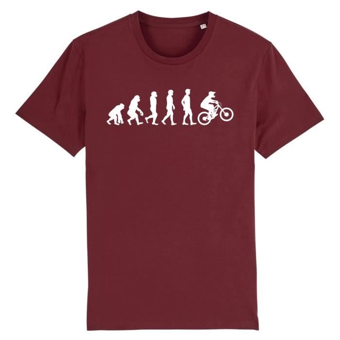 T-shirt Homme CandyMix - Voiture De Sport évolution, 100% Coton, Coupe Standard