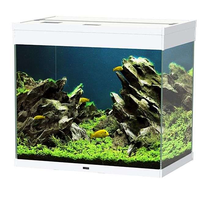 Comparer les prix de Aquarium Emotions Nature Pro 60 Blanc - CIANO - Rectangulaire - Eclairage - 134L - Poisson d'eau de mer