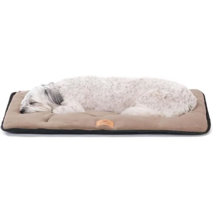 Awlve Lit Cocon Thérapeutique Pilcozy Pour Chat Et Petit Chien, Transformez L'hypervigilance En Sommeil Profond (Gris,XL(100CM