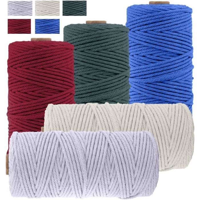 Corde Macramé 5 Couleurs - 3mm X 100m - Coton Naturel Pour DIY Déco Murale, Suspension Plante - Lot 500m