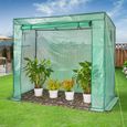 Serre de jardin avec bâche polyéthylène vert transparent 200x173x80cm 2 fenêtres serre 1,6 m² légumes fruits semis porte-3