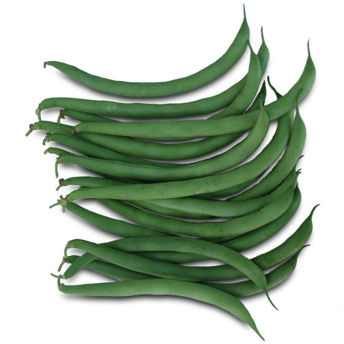 Graines Haricot Contender Nain Mangetout – 75g – Le Grenier D’Abondance