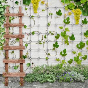 PLANTES GRIMPANTES TREILLIS De Jardin Empilable Treillis Rose Extérieur