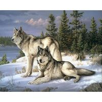 Peinture au numéro « Couple de loups »